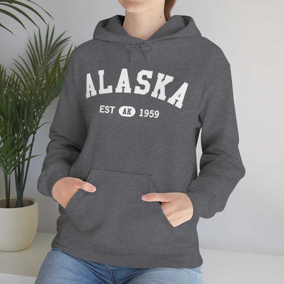 Alaska AK State Hoodie, I Love Retro Vintage Home Pride Travel Souvenir USA Gifts Cruise Pullover Men Women Hooded Sweatshirt