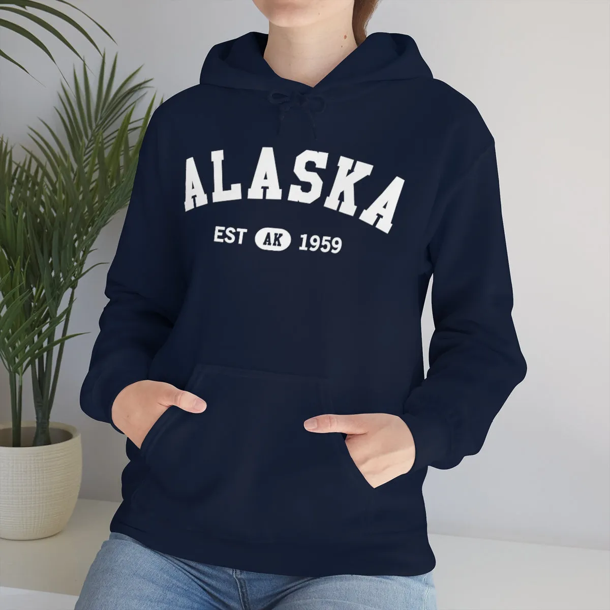 Alaska AK State Hoodie, I Love Retro Vintage Home Pride Travel Souvenir USA Gifts Cruise Pullover Men Women Hooded Sweatshirt