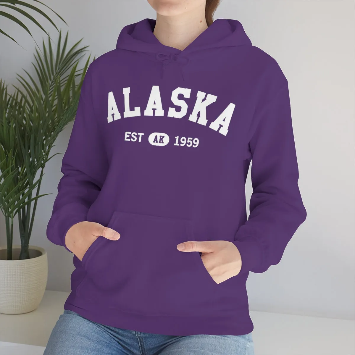 Alaska AK State Hoodie, I Love Retro Vintage Home Pride Travel Souvenir USA Gifts Cruise Pullover Men Women Hooded Sweatshirt