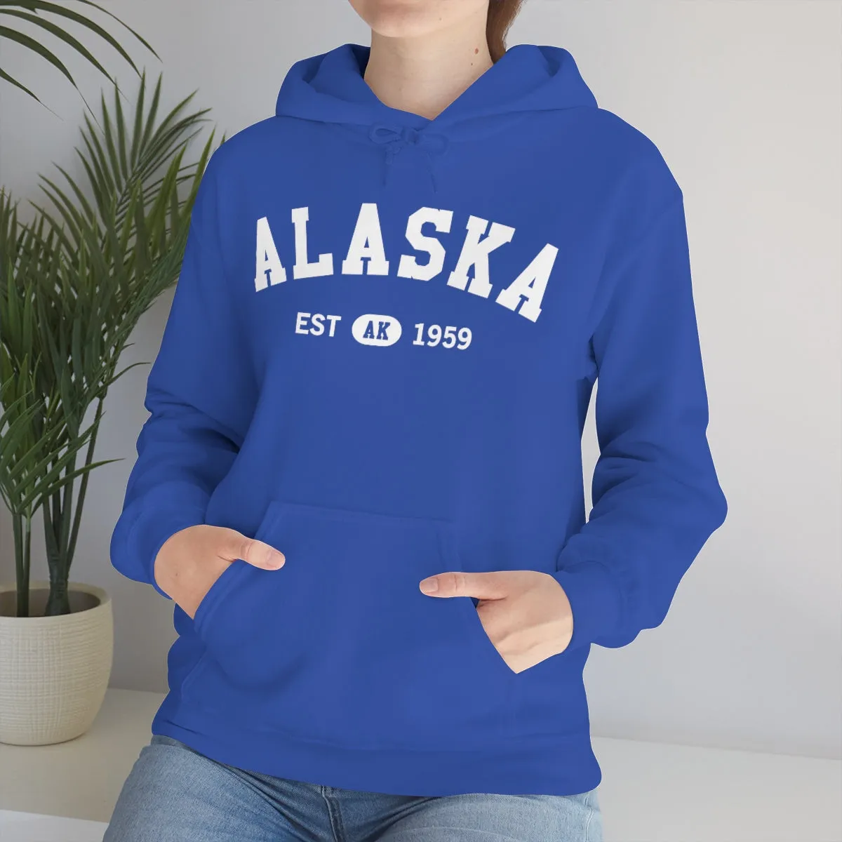Alaska AK State Hoodie, I Love Retro Vintage Home Pride Travel Souvenir USA Gifts Cruise Pullover Men Women Hooded Sweatshirt