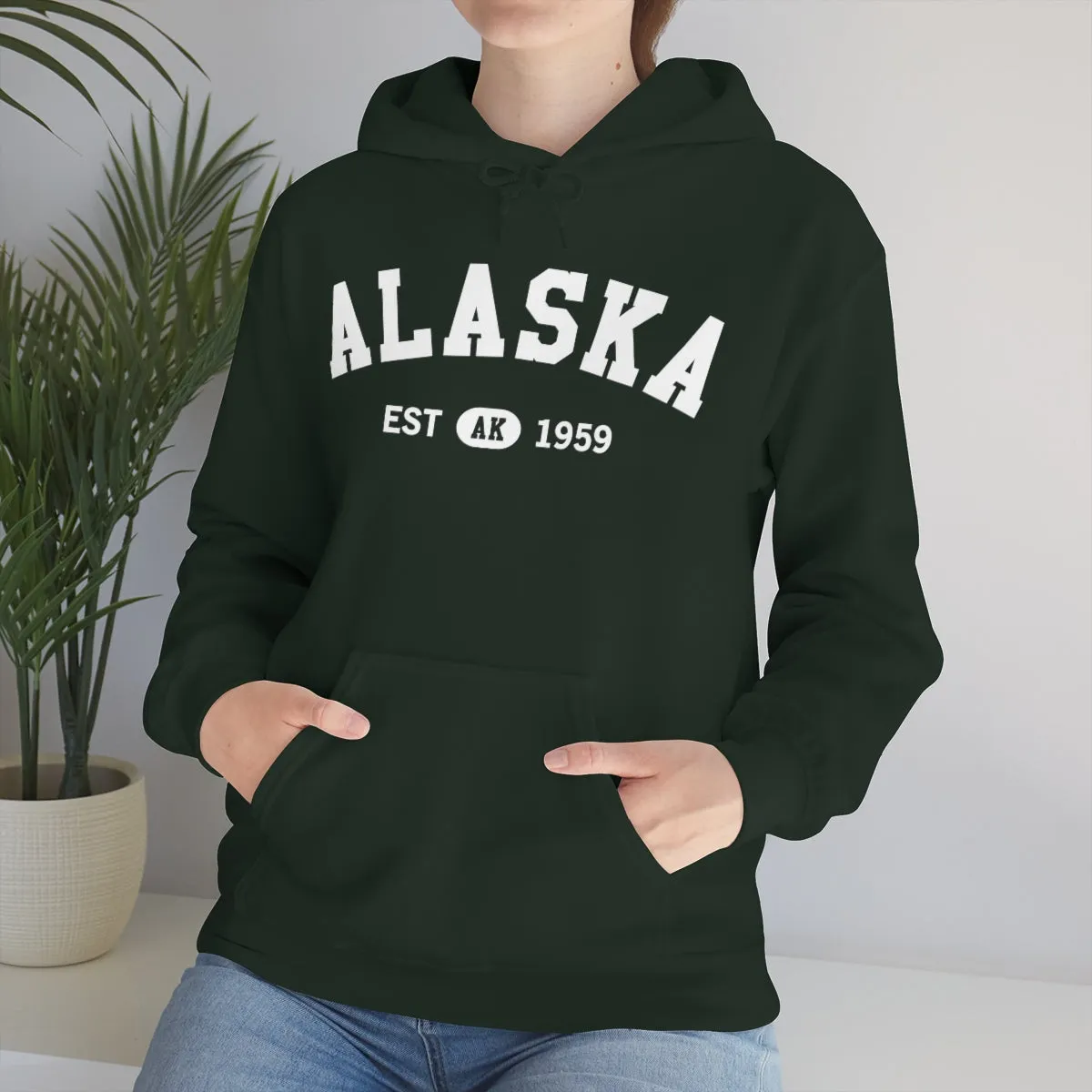 Alaska AK State Hoodie, I Love Retro Vintage Home Pride Travel Souvenir USA Gifts Cruise Pullover Men Women Hooded Sweatshirt