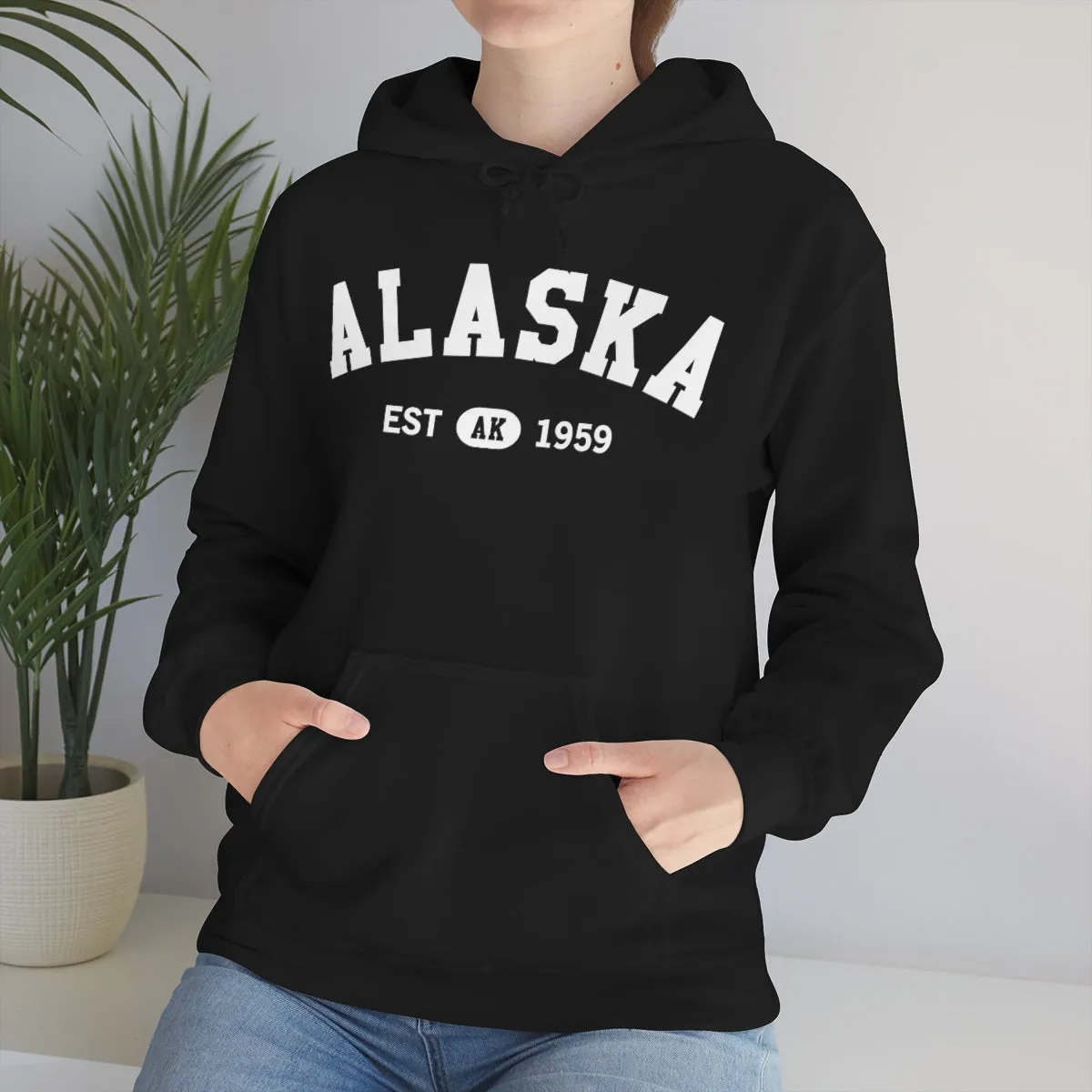 Alaska AK State Hoodie, I Love Retro Vintage Home Pride Travel Souvenir USA Gifts Cruise Pullover Men Women Hooded Sweatshirt