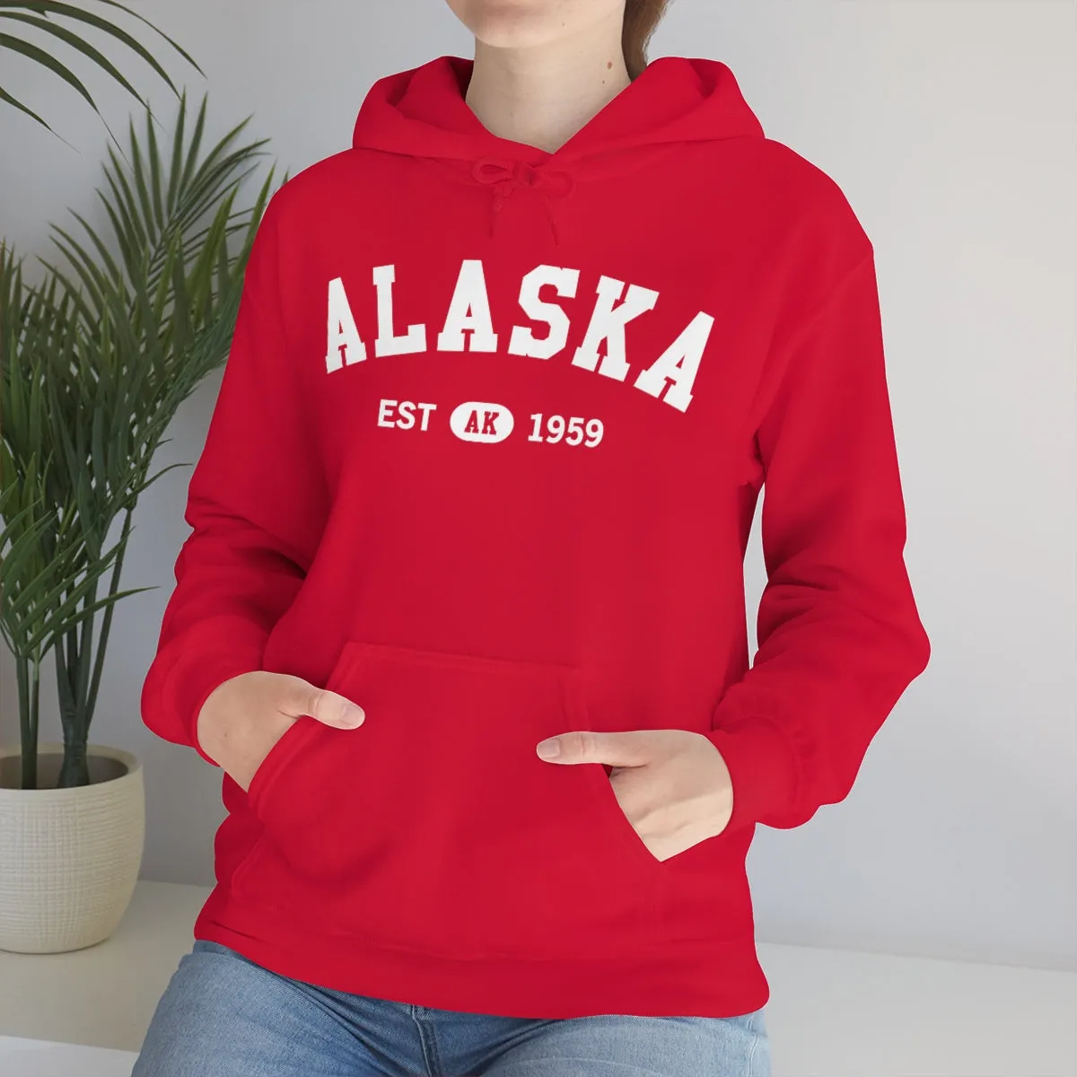 Alaska AK State Hoodie, I Love Retro Vintage Home Pride Travel Souvenir USA Gifts Cruise Pullover Men Women Hooded Sweatshirt