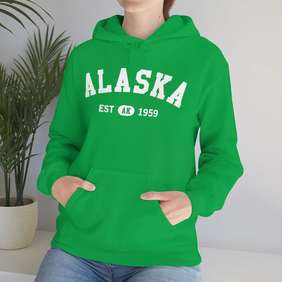 Alaska AK State Hoodie, I Love Retro Vintage Home Pride Travel Souvenir USA Gifts Cruise Pullover Men Women Hooded Sweatshirt