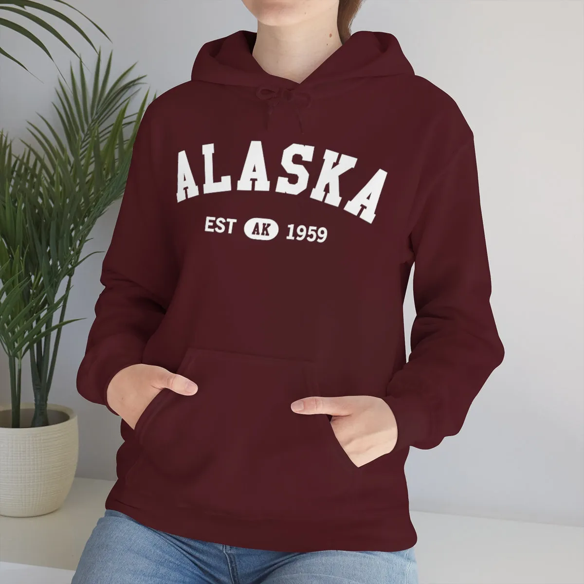 Alaska AK State Hoodie, I Love Retro Vintage Home Pride Travel Souvenir USA Gifts Cruise Pullover Men Women Hooded Sweatshirt